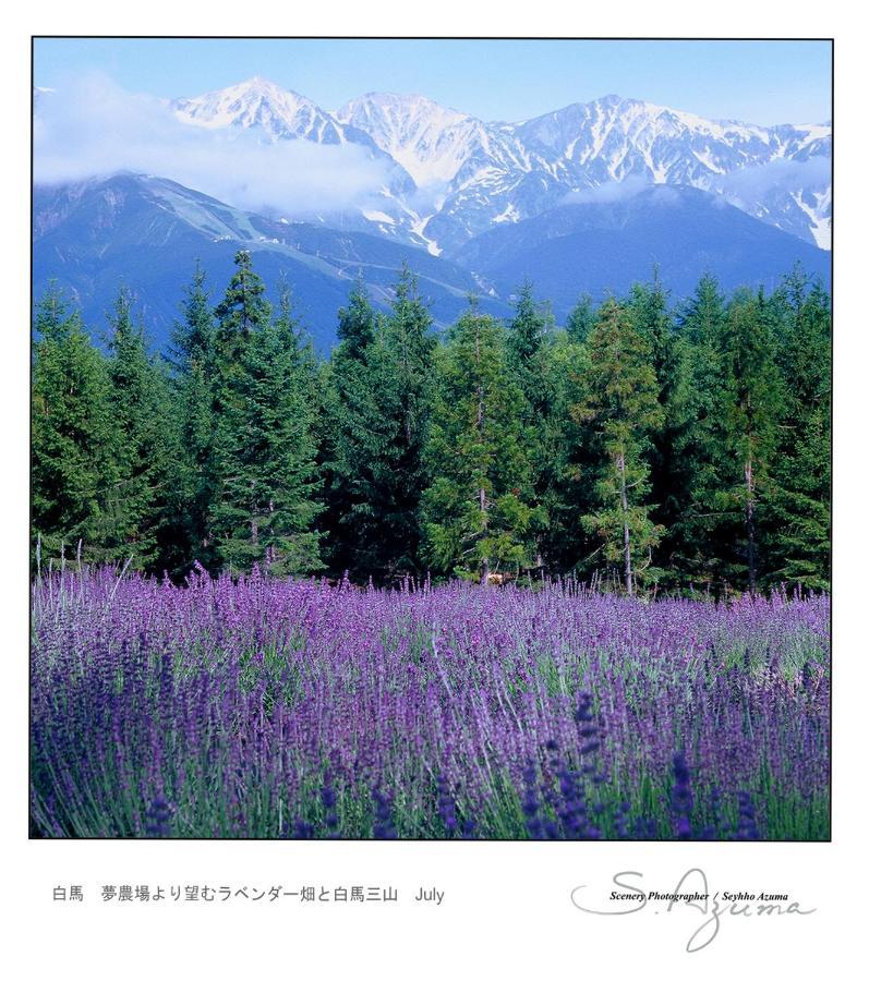 Hotel Montblanc Hakuba Exterior photo